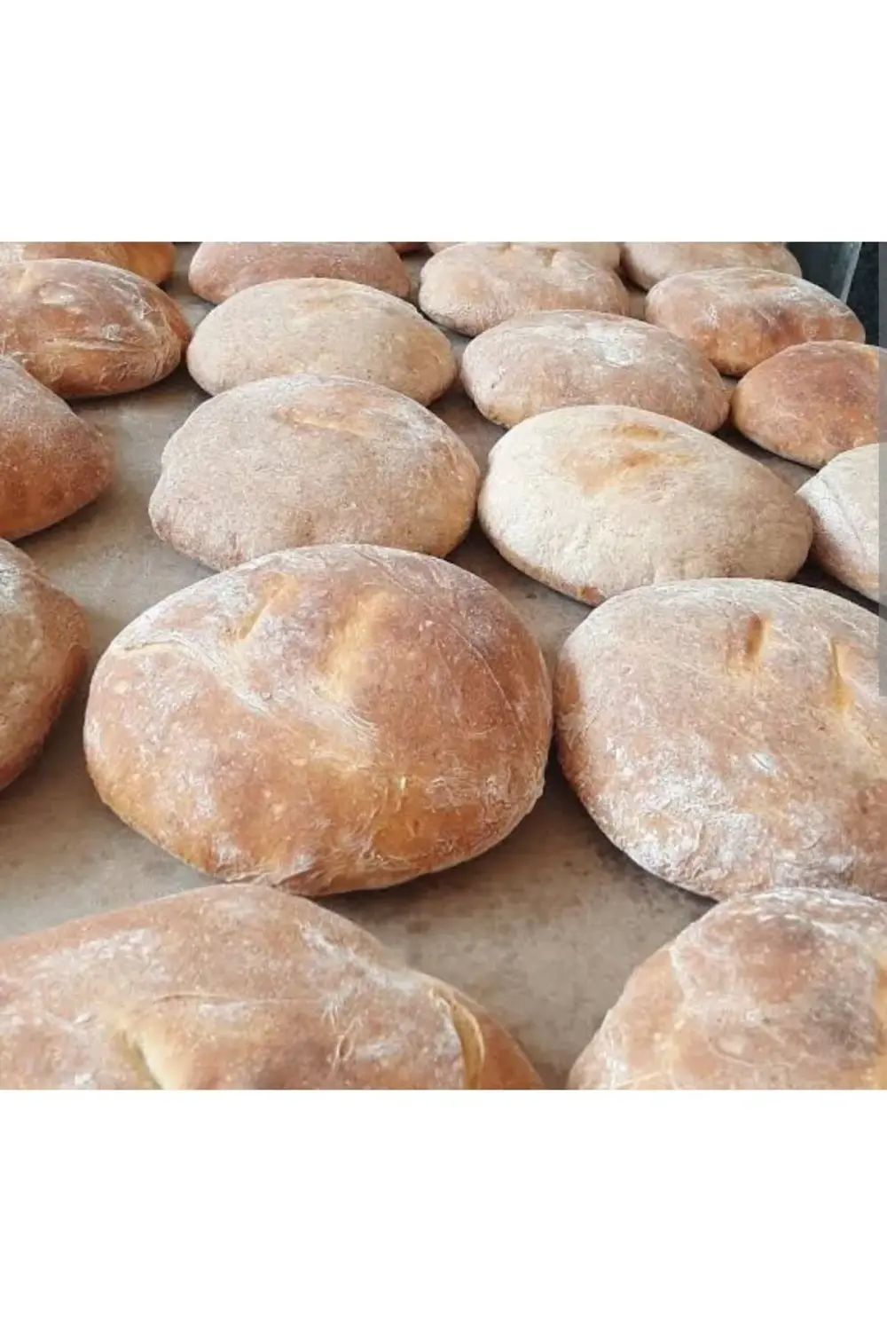 Ebruliemaye 1600 gram Afyon Odun Ateşinde Ekşi Mayalı Patatesli K