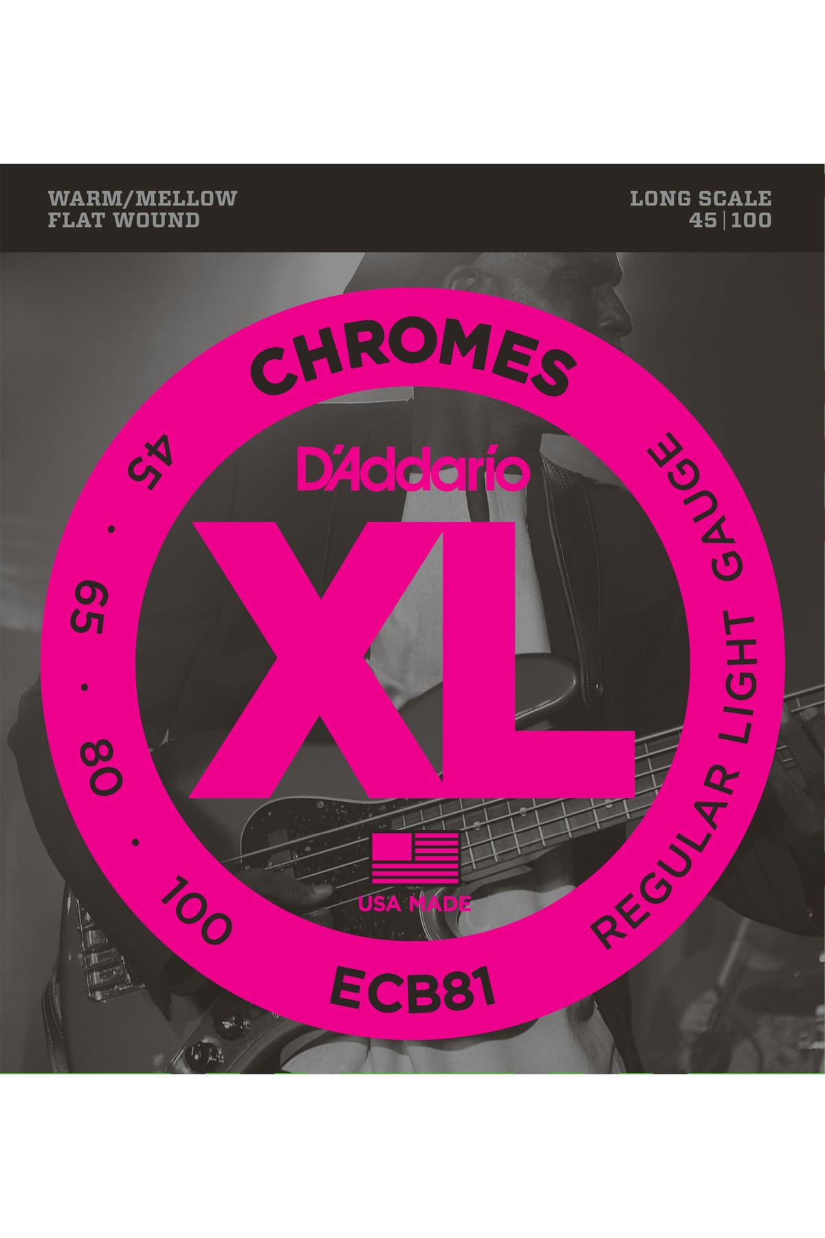 ECB81 BAS GİTAR TEL SETİ, CHROMES, REGULAR LIGHT GAUGE (