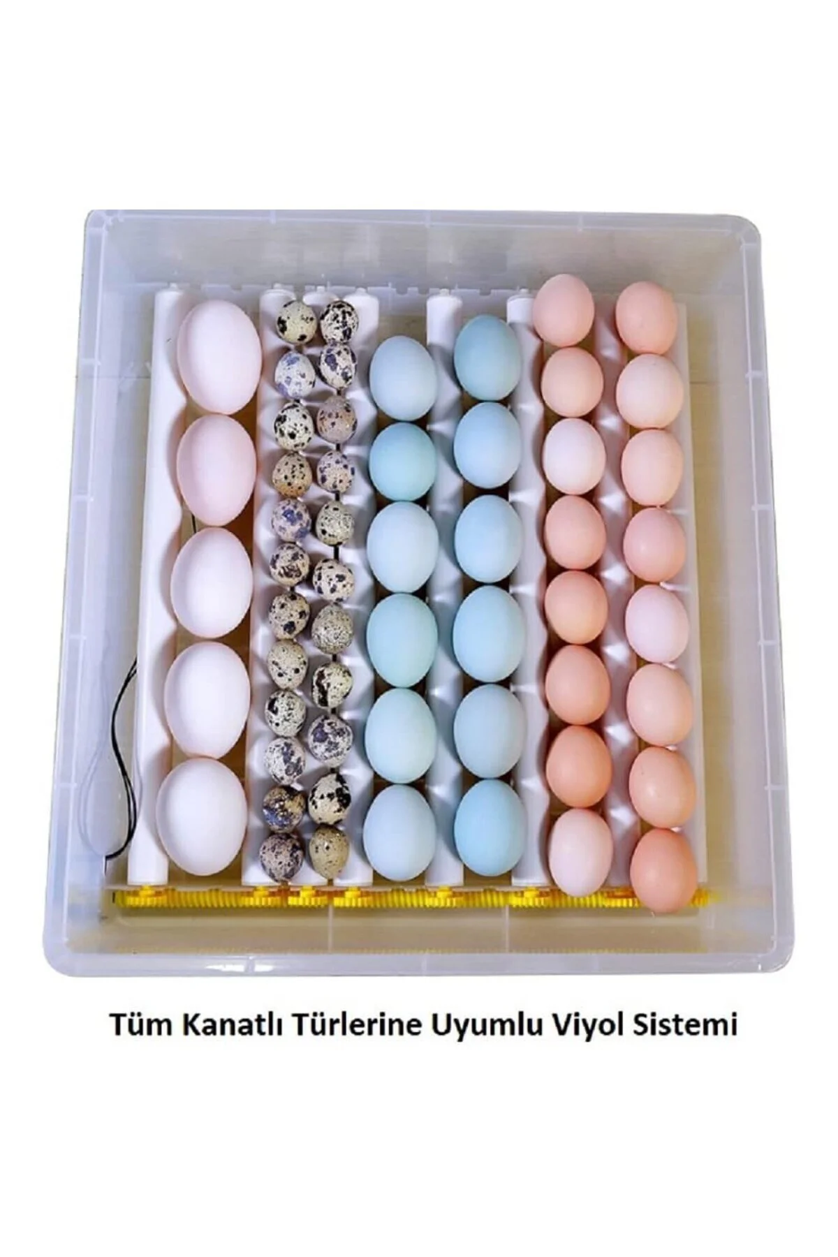 EFE KULUÇKA MAKİNELERİ Kaz Kuluçka Makinesi 120 lik