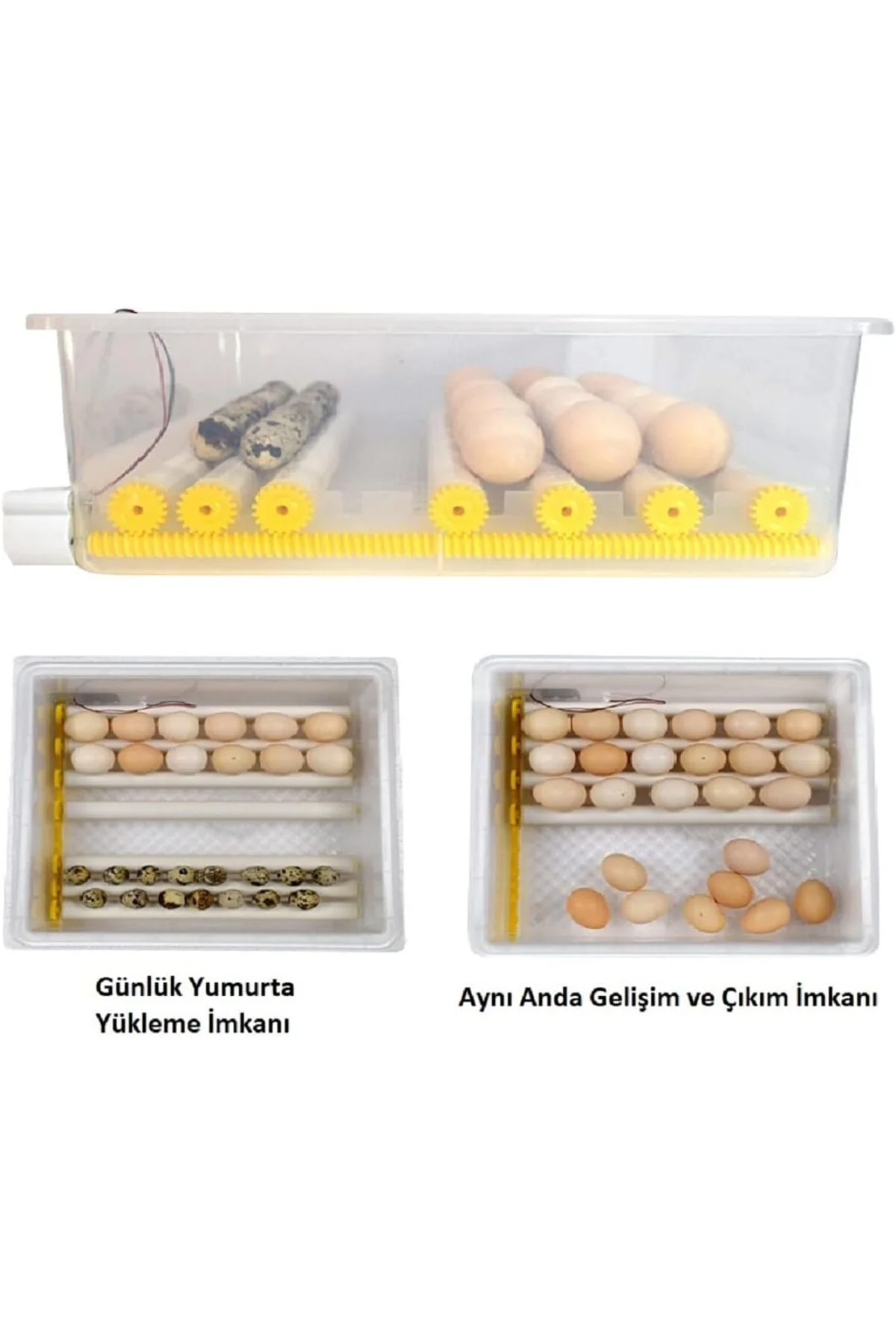 EFE KULUÇKA MAKİNELERİ Kaz Kuluçka Makinesi 120 lik