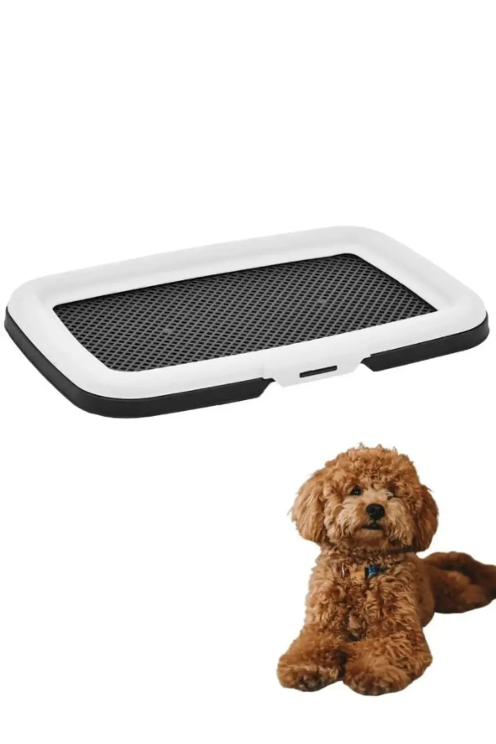 Eğitici Akıllı Köpek Tuvaleti Elekli Beyaz
