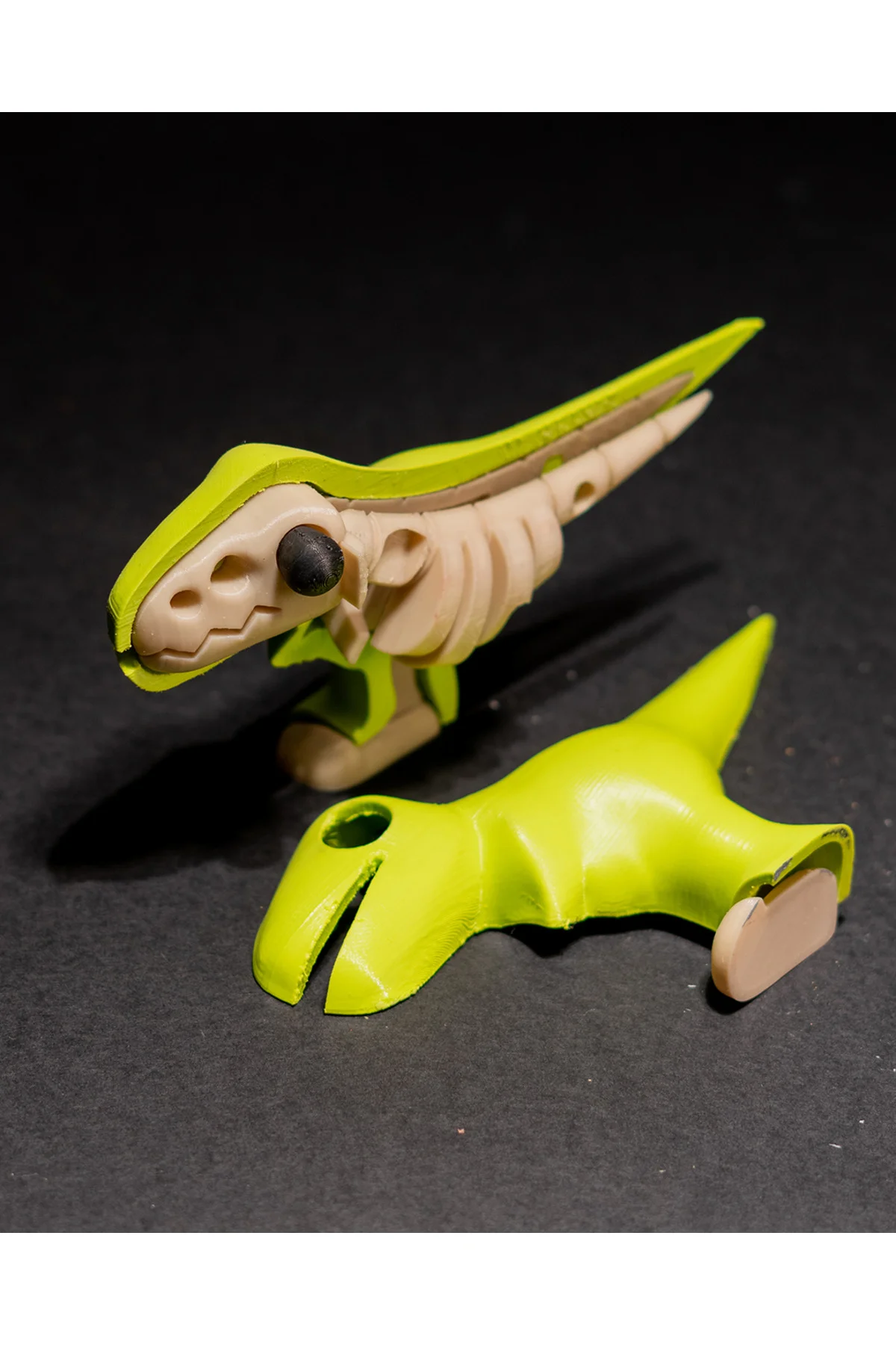 Eğitici & Öğretici T-rex Iskelet Puzzle