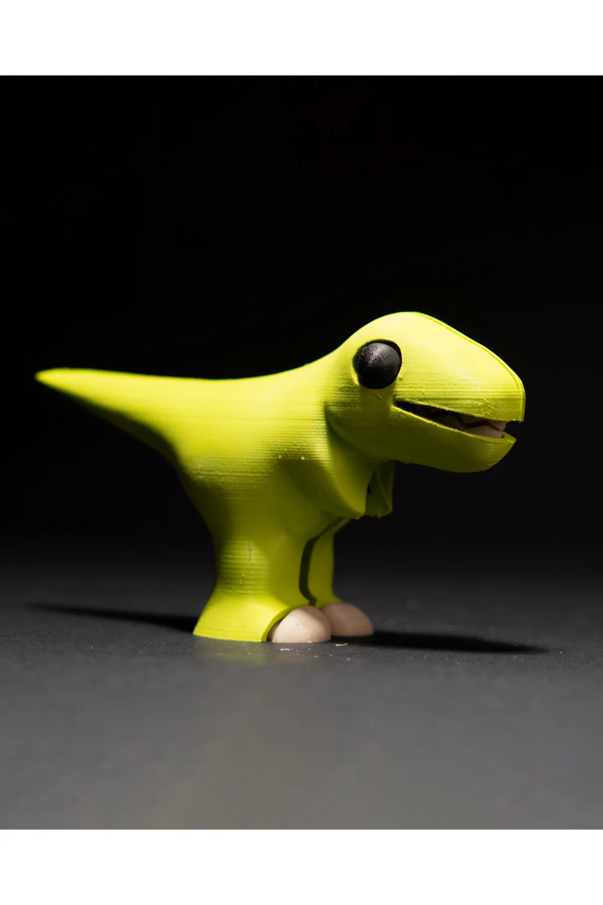 Eğitici & Öğretici T-rex Iskelet Puzzle