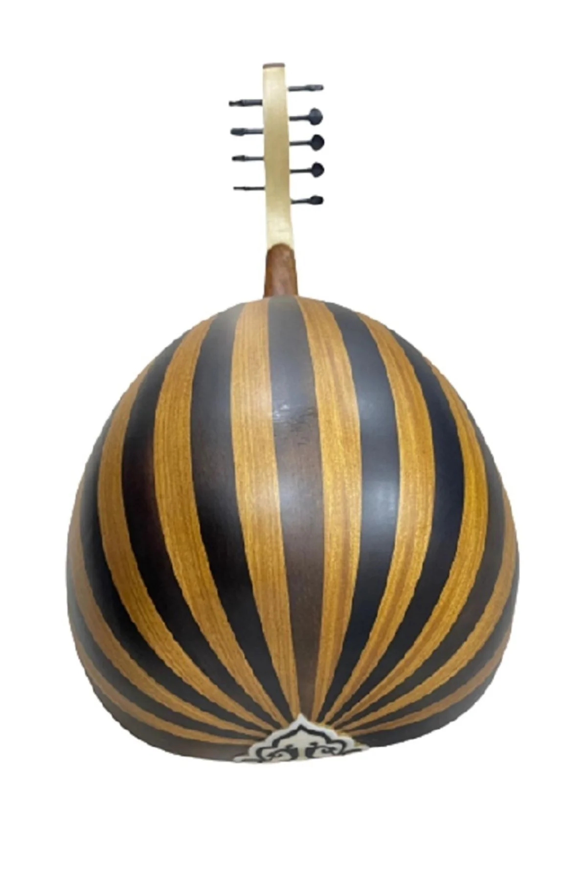 Eğitimlik Zenne Ud Kaliteli Öğrenci Üst Kalite