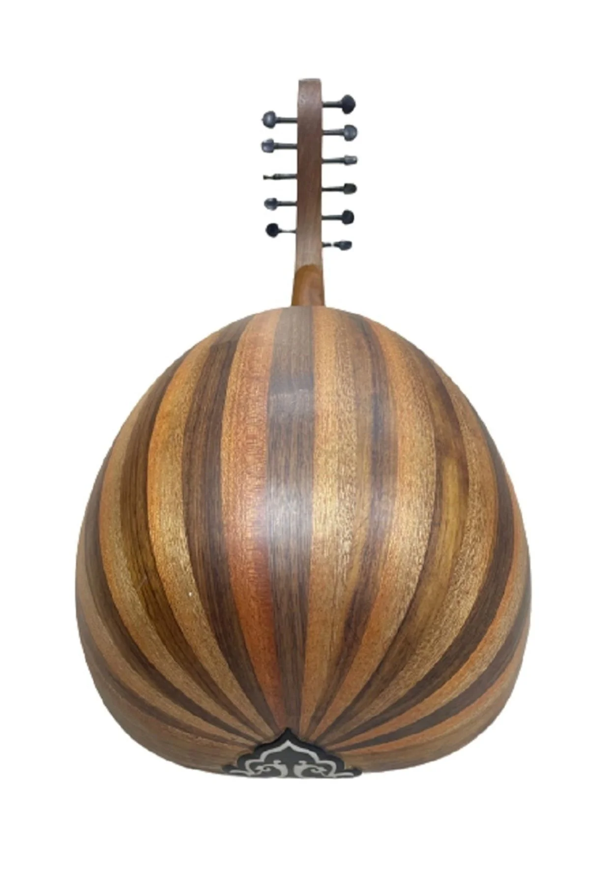 Eğitimlik Zenne Ud Kaliteli Öğrenci Seviye