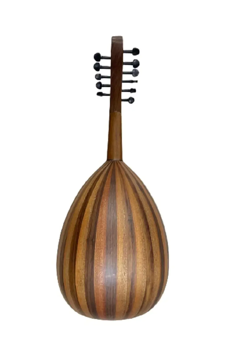 Eğitimlik Zenne Ud Kaliteli Öğrenci Seviye