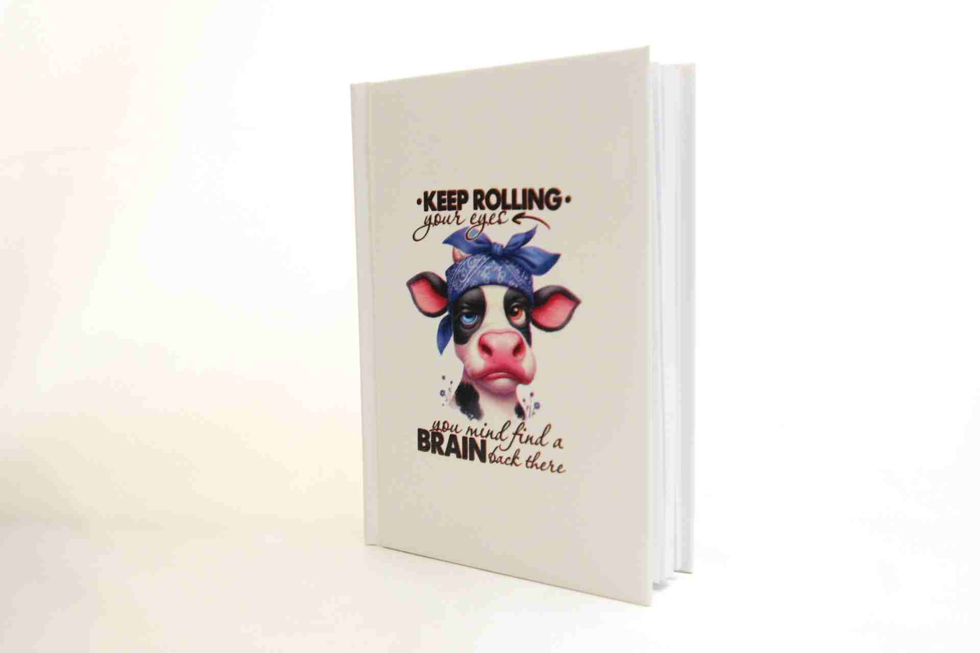 Eğlenceli Hediye Kutusu - Cam Suluk ve Defter Hediye Seti