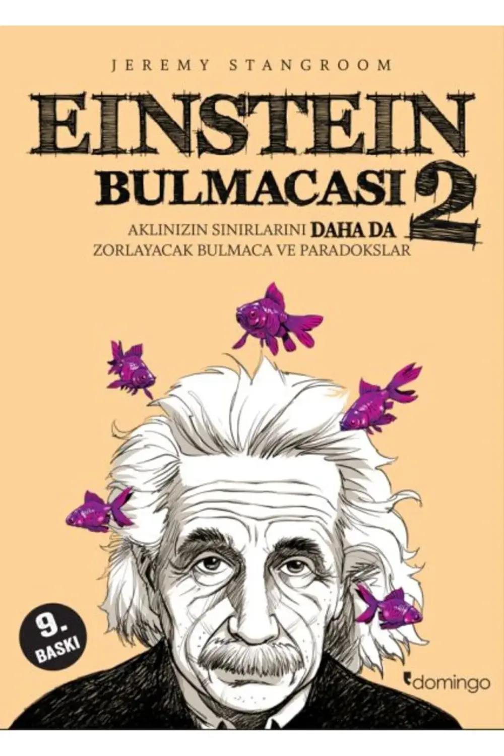 Einstein Bulmacası 2 Aklınızın Sınırlarını Zorlayacak Bulmaca ve
