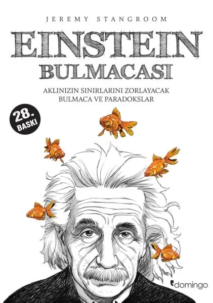 Einstein Bulmacası  Aklınızın Sınırlarını Zorlayacak Bulmaca ve P