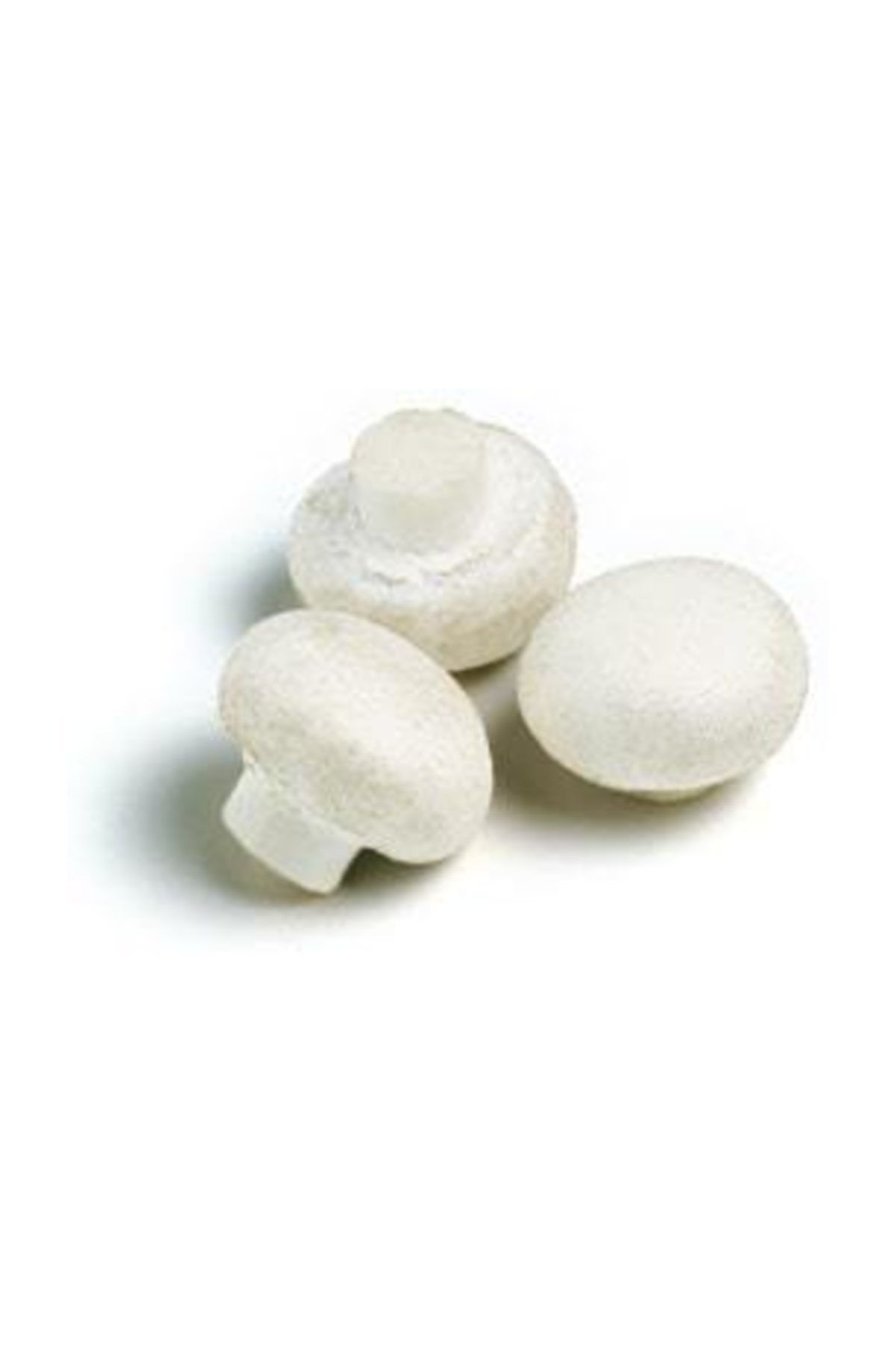 Ekim Torbası Ve Eğitim Kılavuzu Hediyeli 100 Gr Beyaz Şapkalı Kül