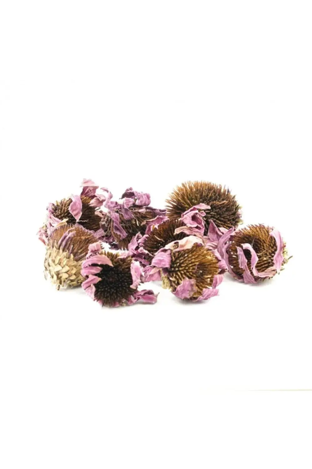 Ekinezya Çayı (1.sınıf) 100 Gr