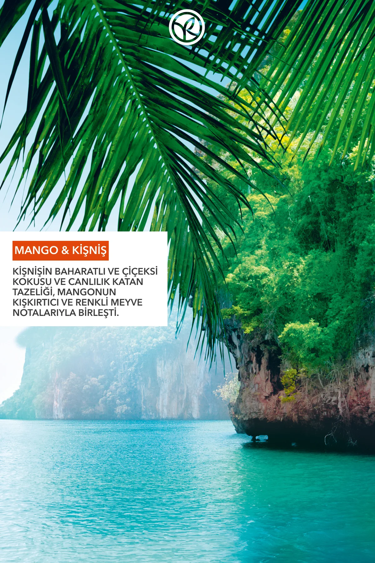 Eko Refill Yedek Duş Jeli-Nemlendirici Canlandırıcı Mango Kişniş-