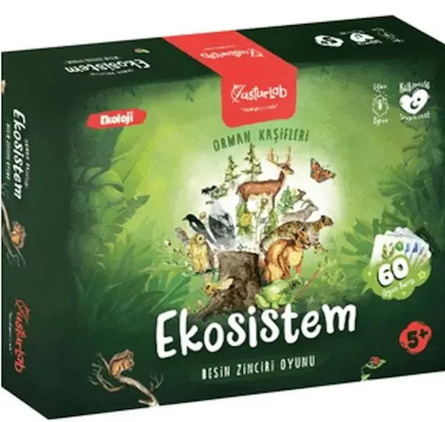 Ekosistem Besin Zinciri Kutu Oyunu Midi Fiyatı, Yorumları ve Özellikleri