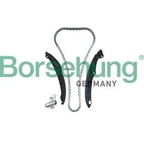 Eksantrik Zincir Seti (BORSEHUNG)(B17991)(03C109158A) Fiyatı, Yorumları ve Özellikleri
