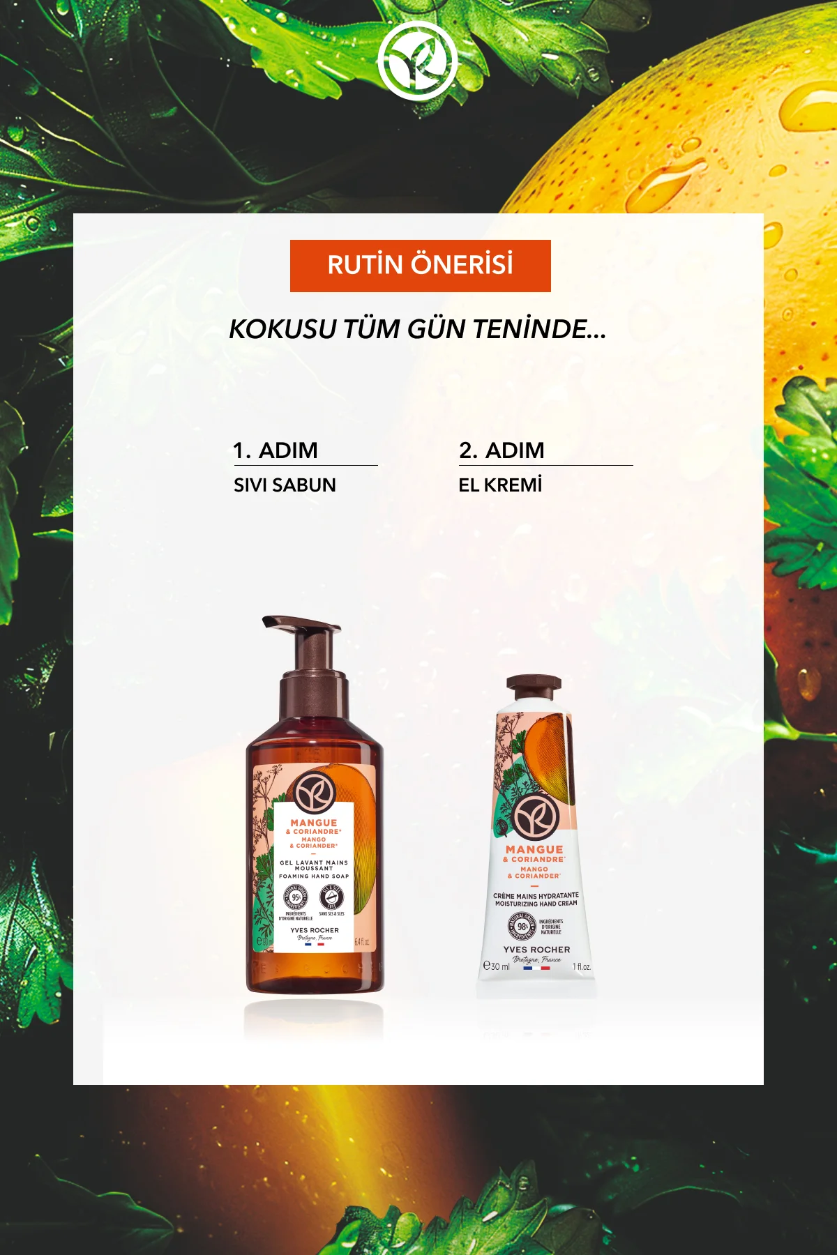 El Kremi- Nemlendirici Besleyici Canlandırıcı Mango Kişniş- Vegan