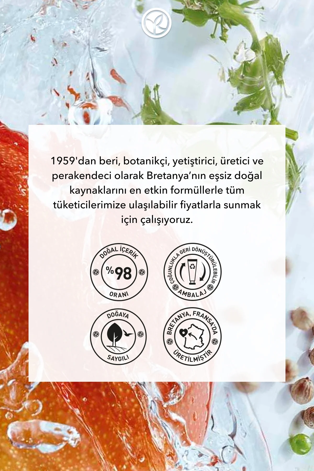 El Kremi- Nemlendirici Besleyici Canlandırıcı Mango Kişniş- Vegan