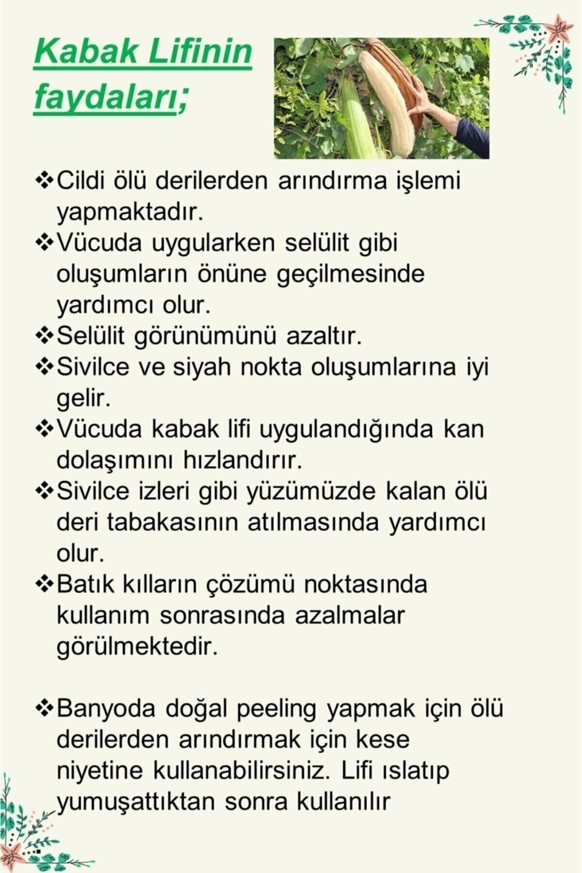 Trendmilano El Yapımı Doğal Kabak Lifli Aloe Vera Sabunu 4Lü Set 450 Gr