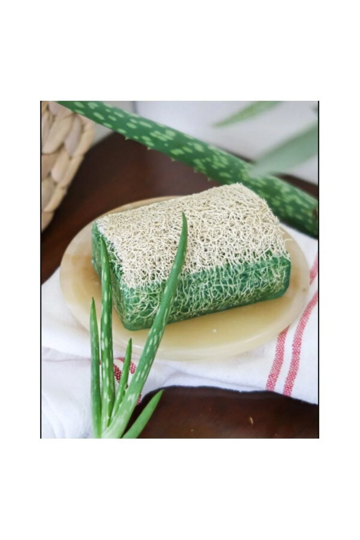 Trendmilano El Yapımı Doğal Kabak Lifli Eşek Sütü Bal Aloe Vera Sabun 2'Li Se