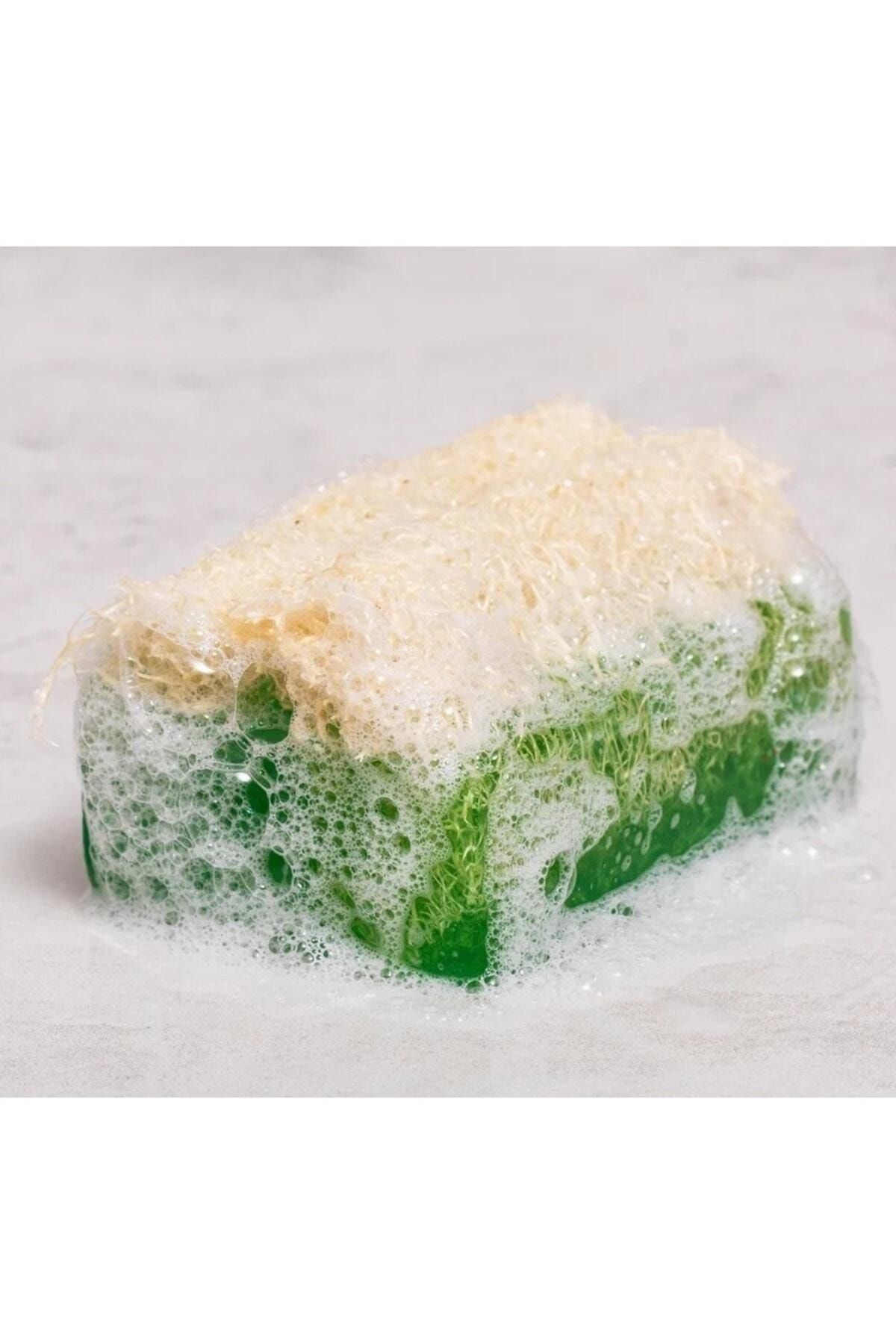 Trendmilano El Yapımı Doğal Kabak Lifli Eşek Sütü Ballı Aloe Vera Sabunu 4'Lü