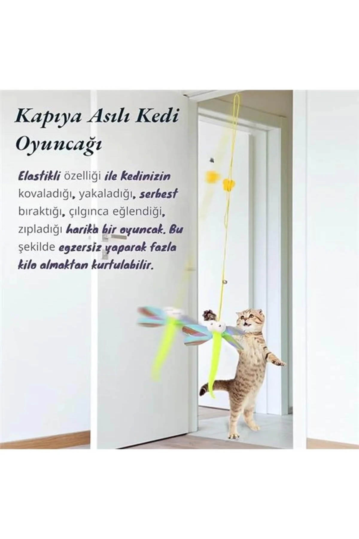 Elastik Kendinden Yapışkanlı Renkli Kedi Oyun Oltası Kedi Oyuncağı Yapışkanlı Olta Eğitim