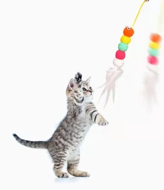 Elastik Kendinden Yapışkanlı Solucan Kedi Oltası Bx40 Fiyatı, Yorumları ve Özellikleri