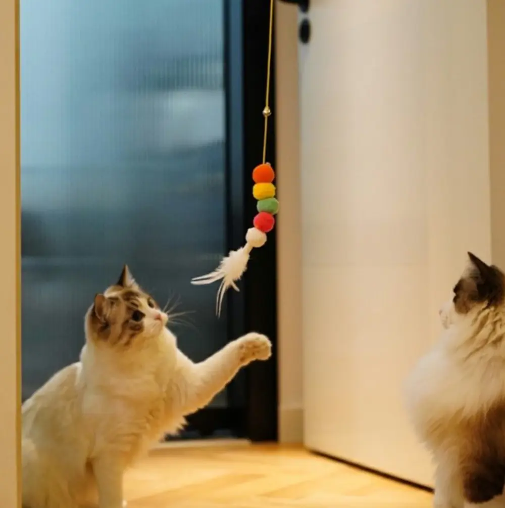 Elastik Kendinden Yapışkanlı Solucan Kedi Oltası Elastik Kendinden Yapışkanlı Solucan Kedi Oltası