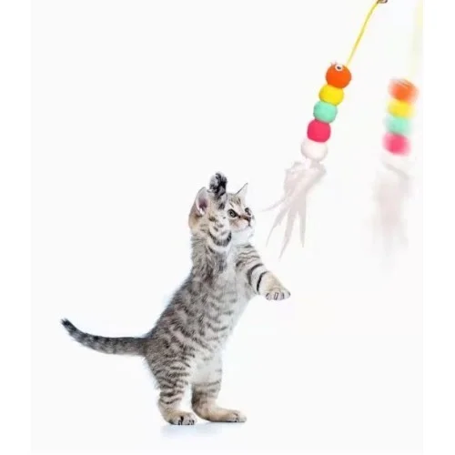 Elastik Yapışkanlı Kedi Oyun Oltası Fiyatı, Yorumları ve Özellikleri