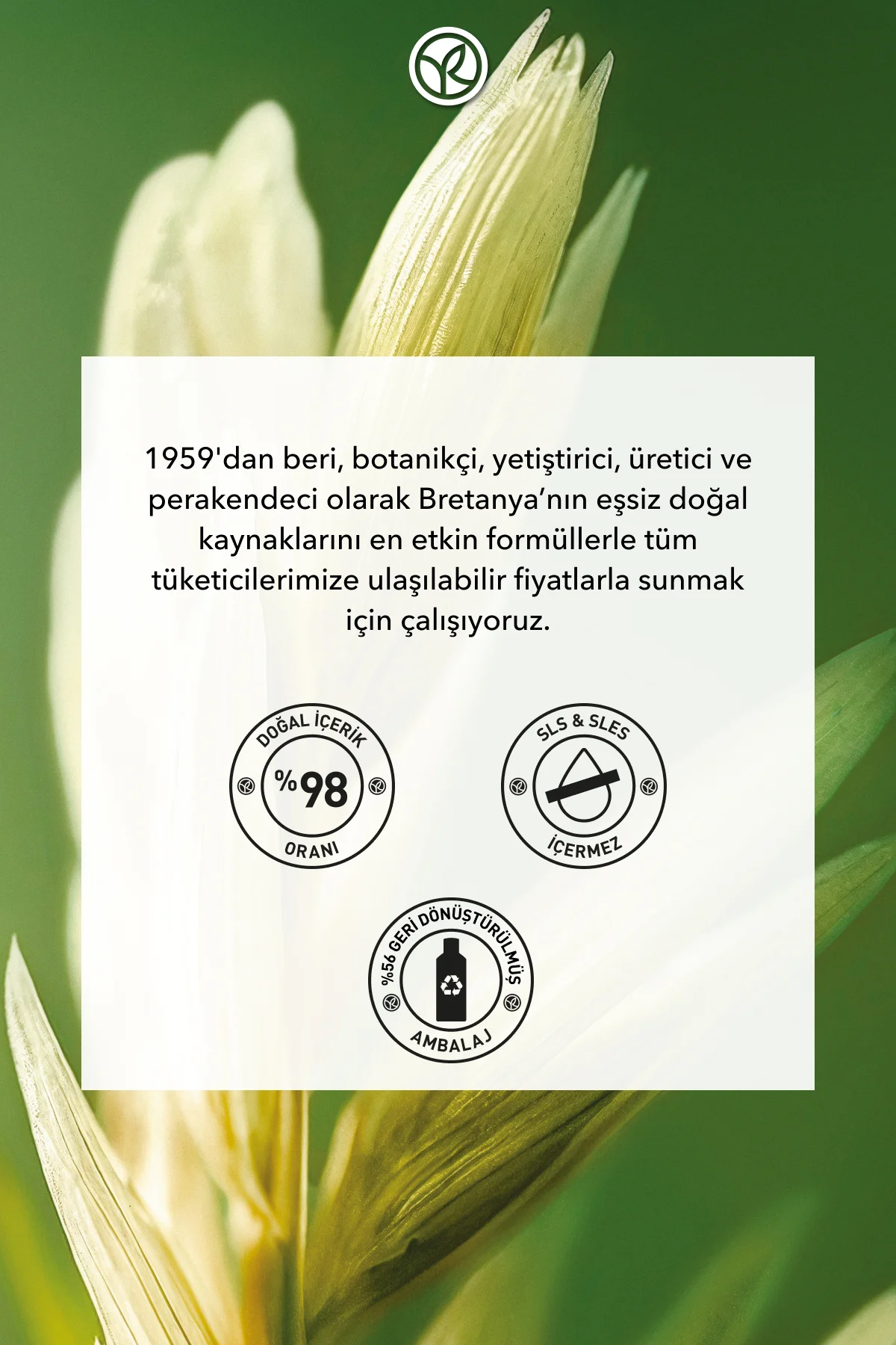 Elektriklenme Karşıtı Isı Koruyucu Prebiyotik Serum - Asi ve Kaba