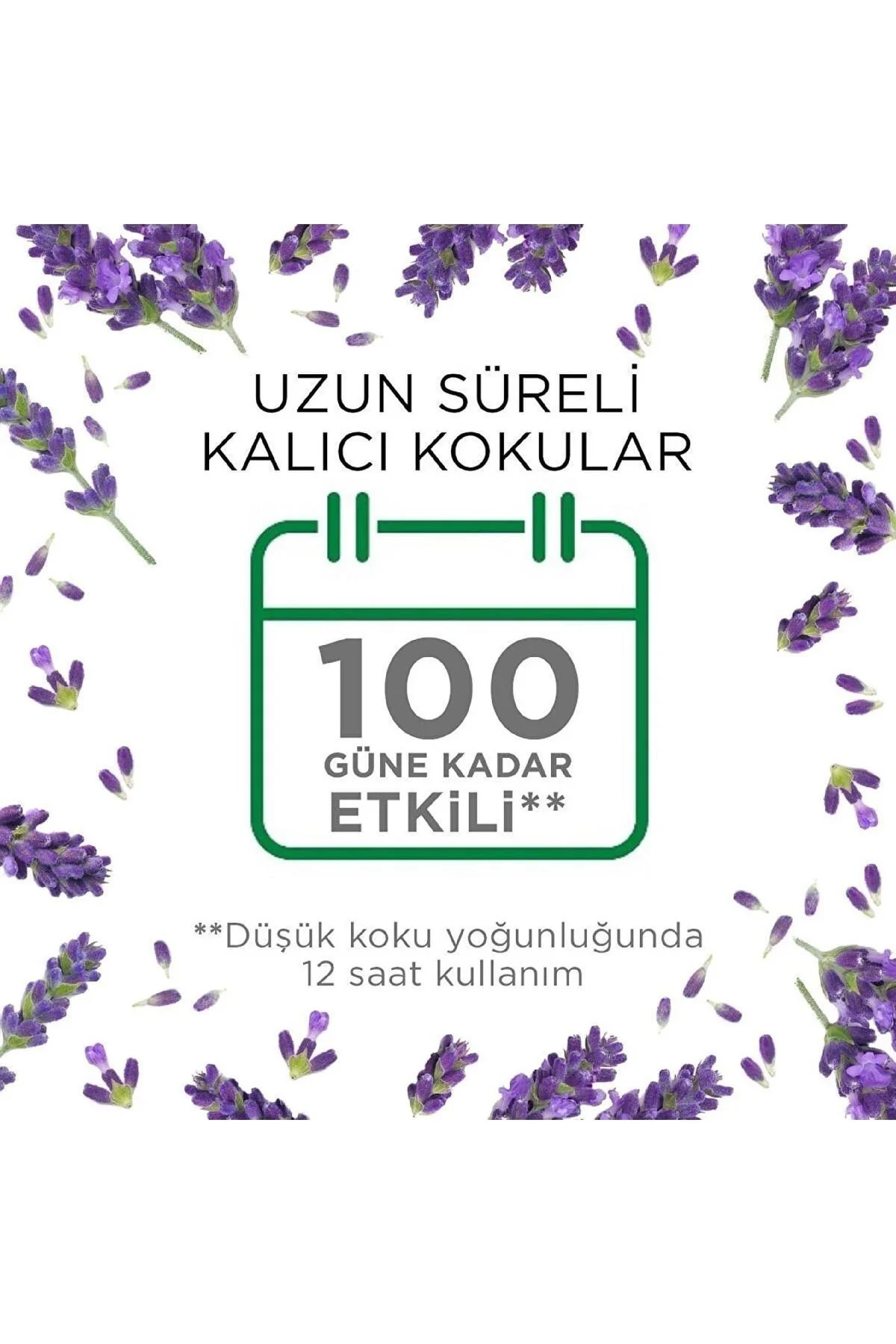 Elektrikli Kit Oda Kokusu Lavanta 19 ml Fiyatı, Yorumları ve Özellikleri