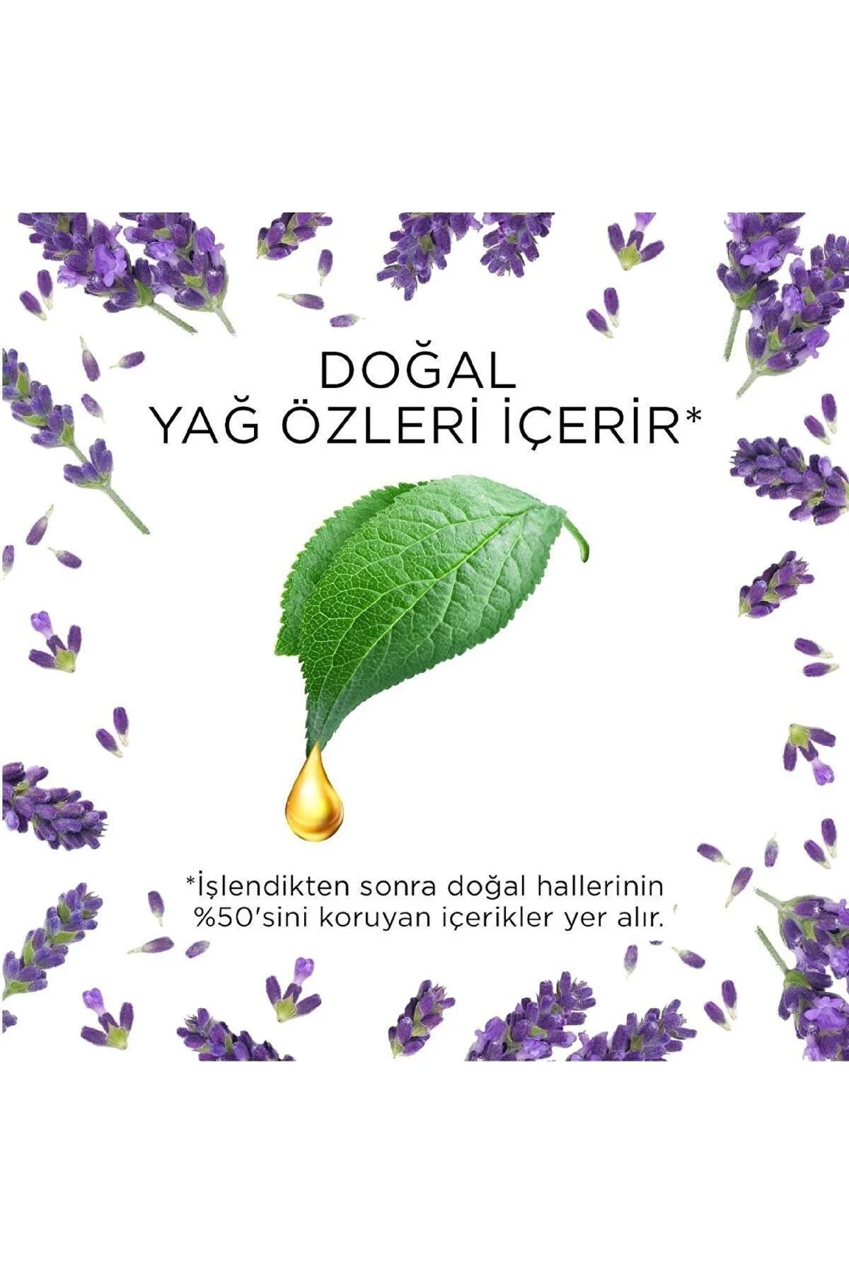 Elektrikli Kit Oda Kokusu Lavanta 19 ml Fiyatı, Yorumları ve Özellikleri