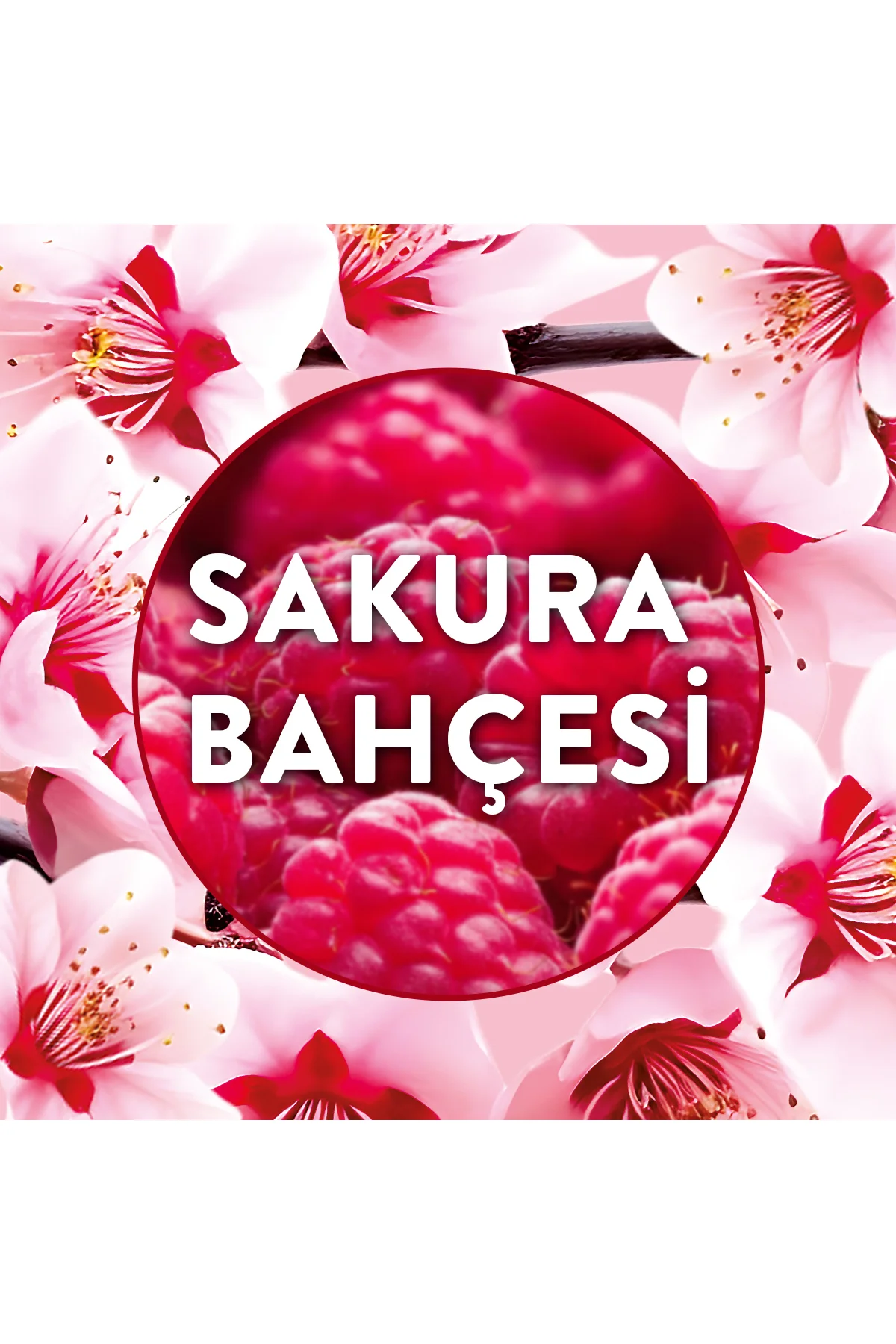Elektrikli Oda Kokusu Yedek Şişe Sakura Bahçesi Fiyatı, Yorumları ve Özellikleri