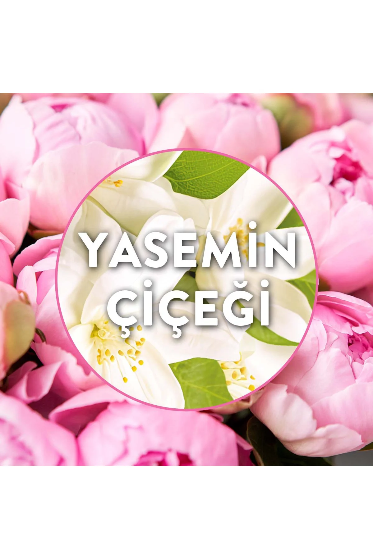 Elektrikli Oda Kokusu Yedek Şişe Yasemin Çiçeği Fiyatı, Yorumları ve Özellikleri