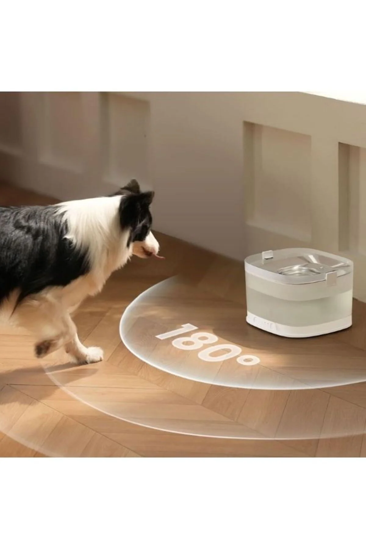 Elfin D1 Pro Köpek Su Pınarı 4 Lt (CDY04)| Pompasız, Şarjlı ve Hijyenik Kullanım