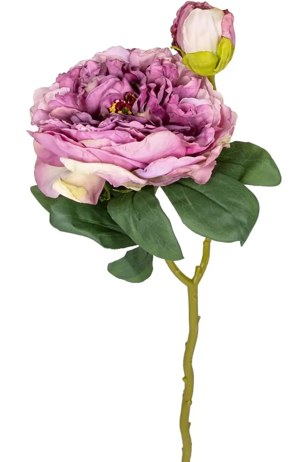 elizzashop Gül Tomurcuklu Lila 50 Cm. elizzashop 1174223