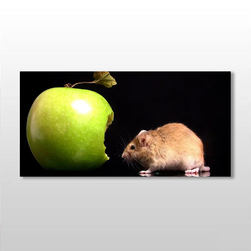 Elma Ve Hamster Kanvas Tablo Elma Ve Hamster Kanvas Tablo
