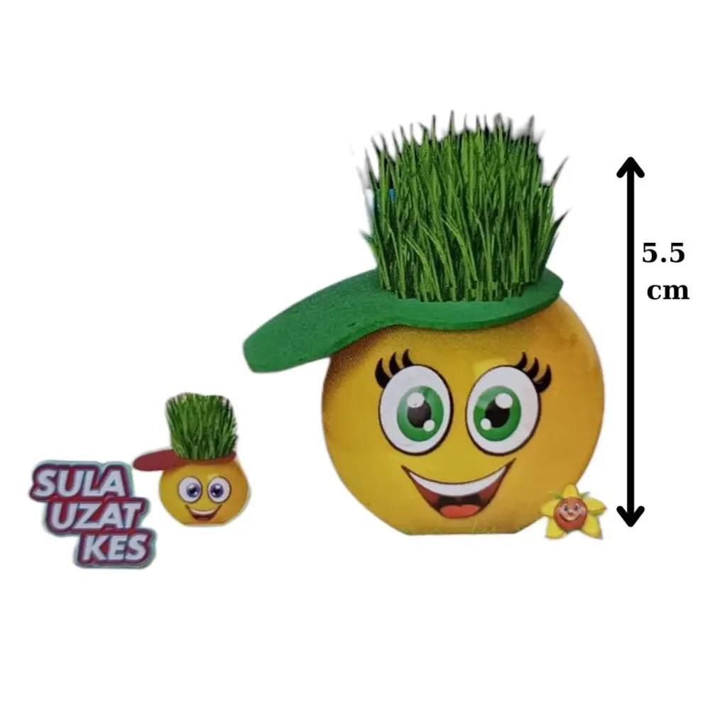 Emoji Çim Adam Yapım Seti-Okul Eğitici Deney Seti 1 Adet