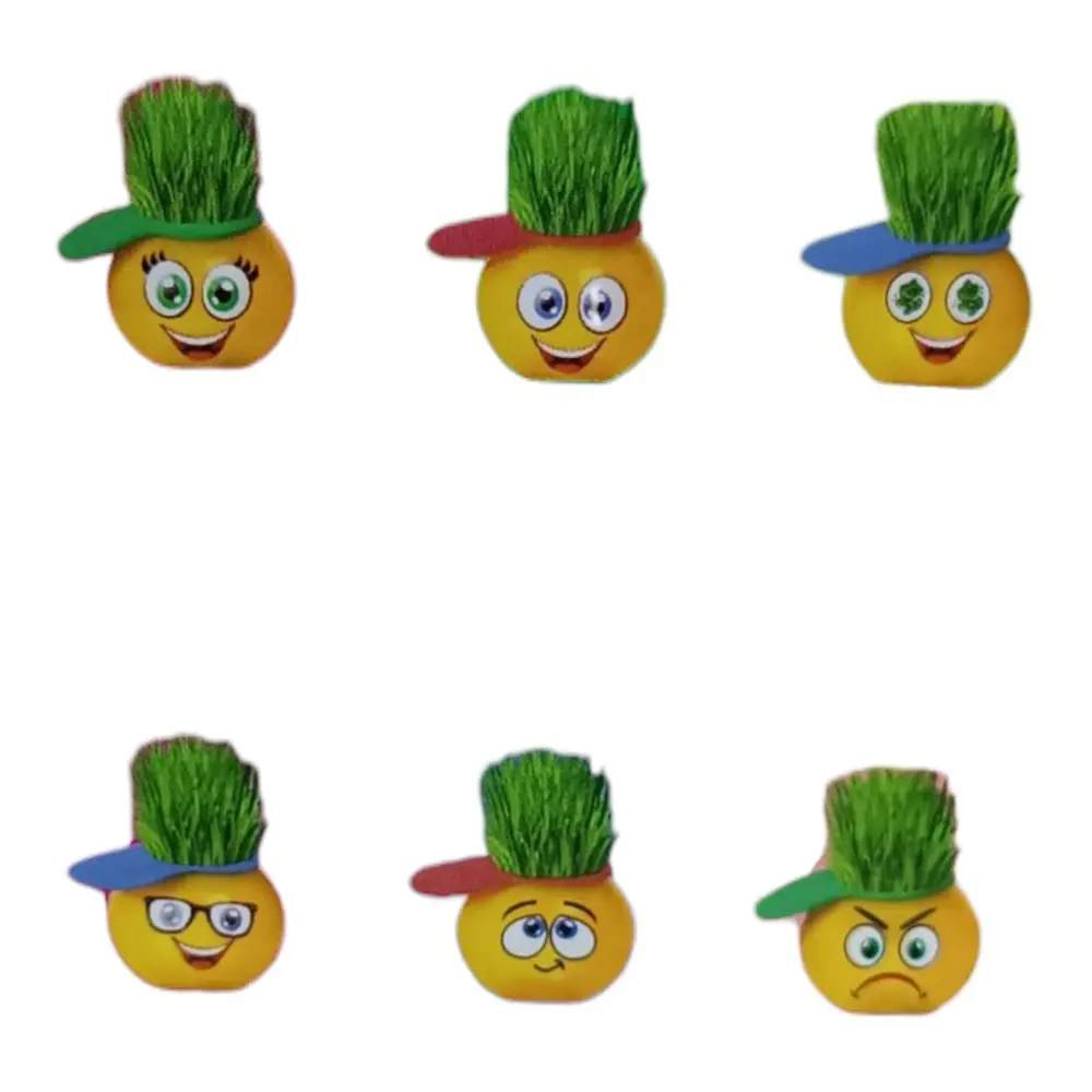 Emoji Çim Adam Yapım Seti-Okul Eğitici Deney Seti 1 Adet