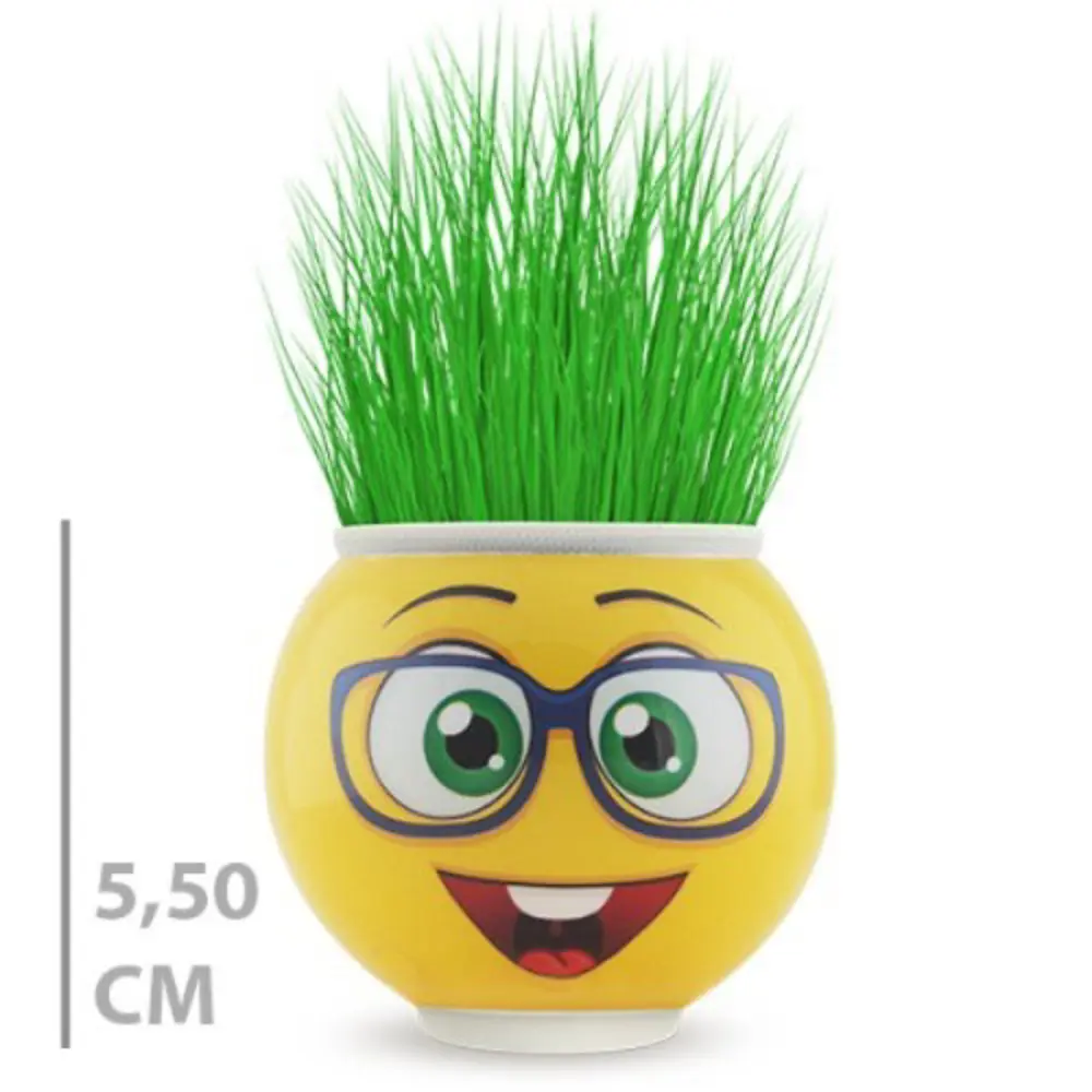Emoji Figürlü Çim Adam Saksı Masaüstü Çim Yetiştirme Seti, Hazır