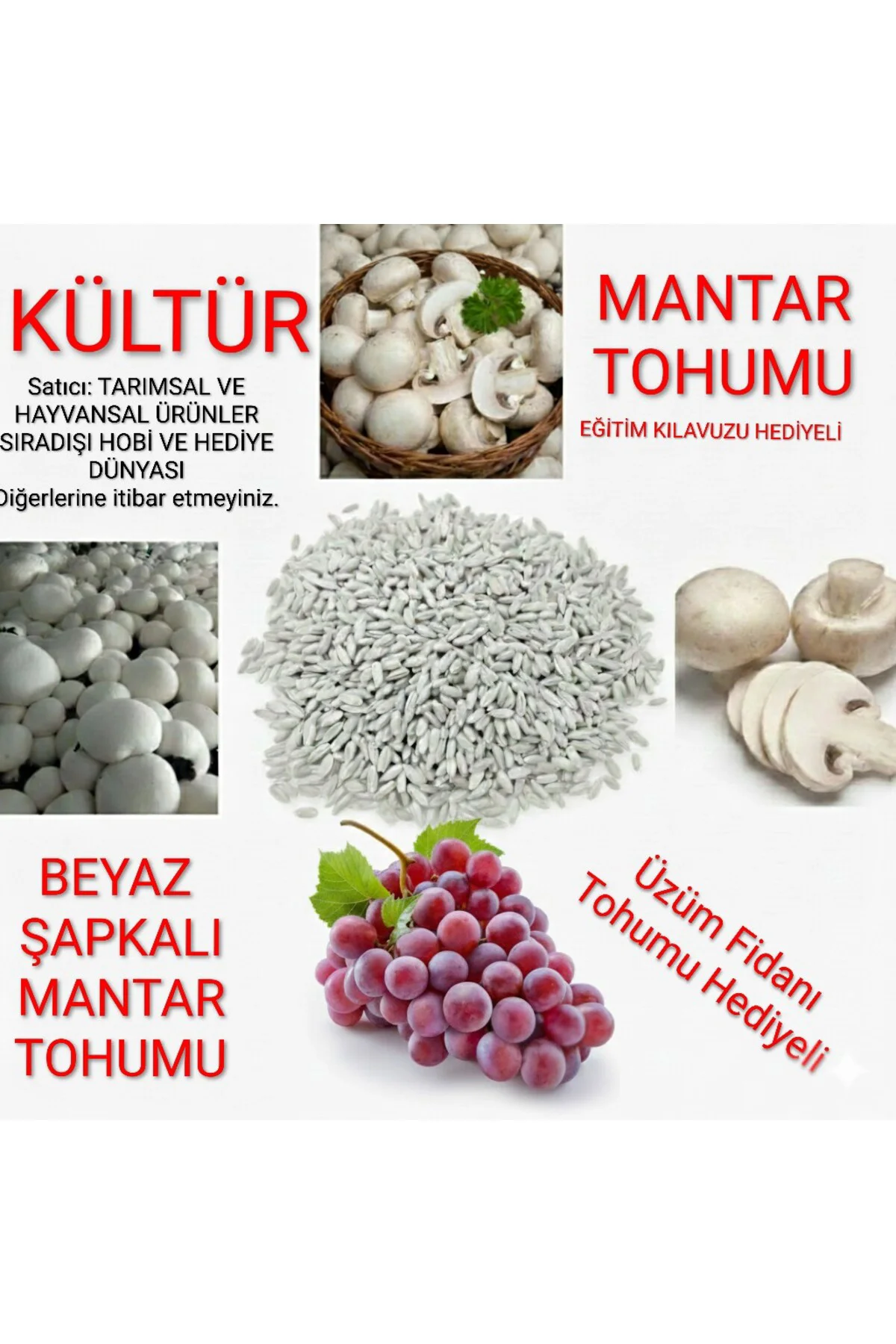 En Az 30.000 Adet Kültür Mantarı Tohumu Ve Eğitim Yönergesi