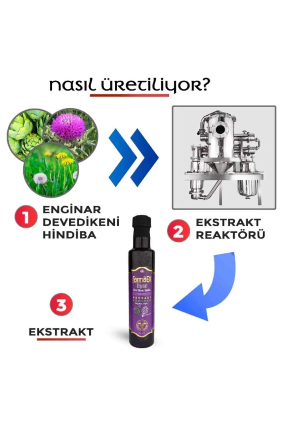 Enginar Deve Dikeni ve Hindiba Ekstraktı Ekstresi 250 ml Doğadan 