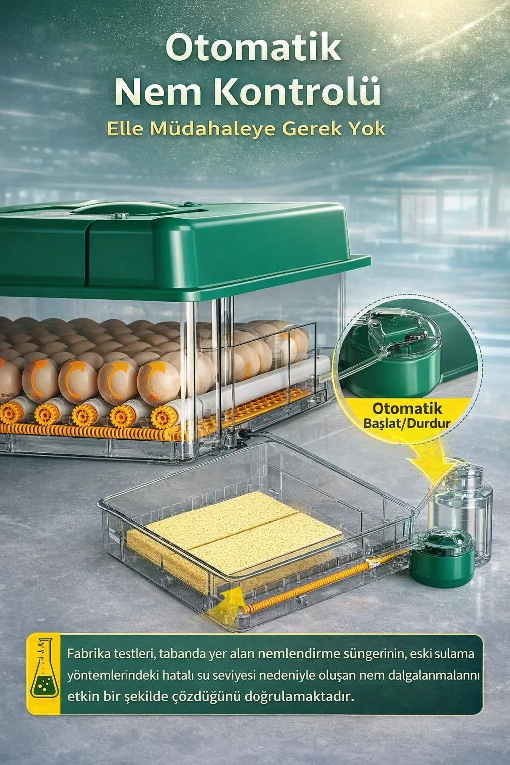 EP100 Kuluçka Makinesi Yeni Nesil Suluk Üstten Havalandırma Sistemli Tavuk Kaz Hindi ve Kuş Türleri İçin