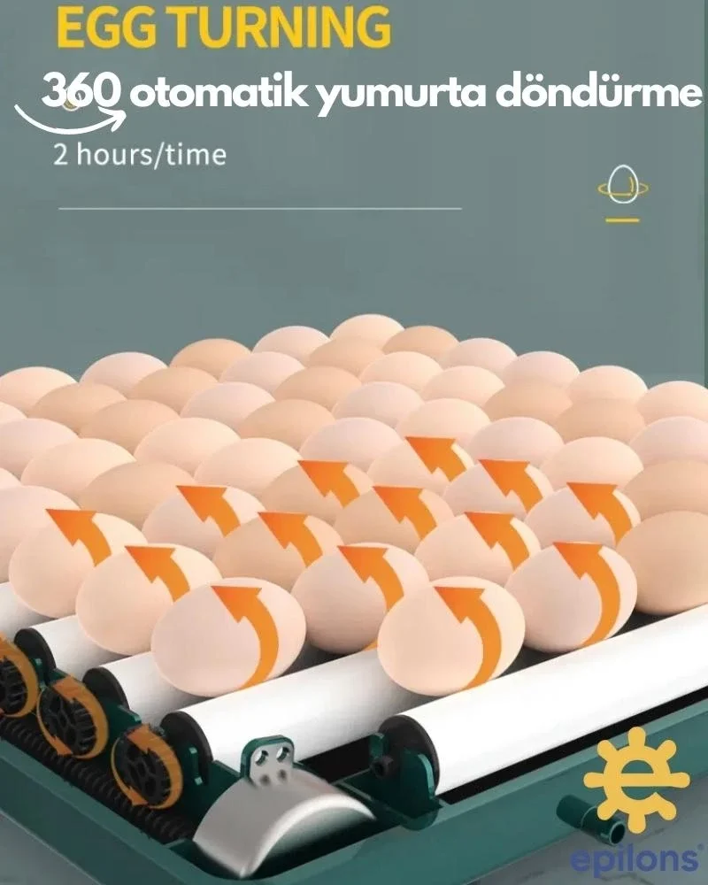 Epo-130my Kuluçka Makinesi | 130 Yumurtalık, Yedek Motorlu İncubator Fiyatı, Yorumları ve Özellikleri