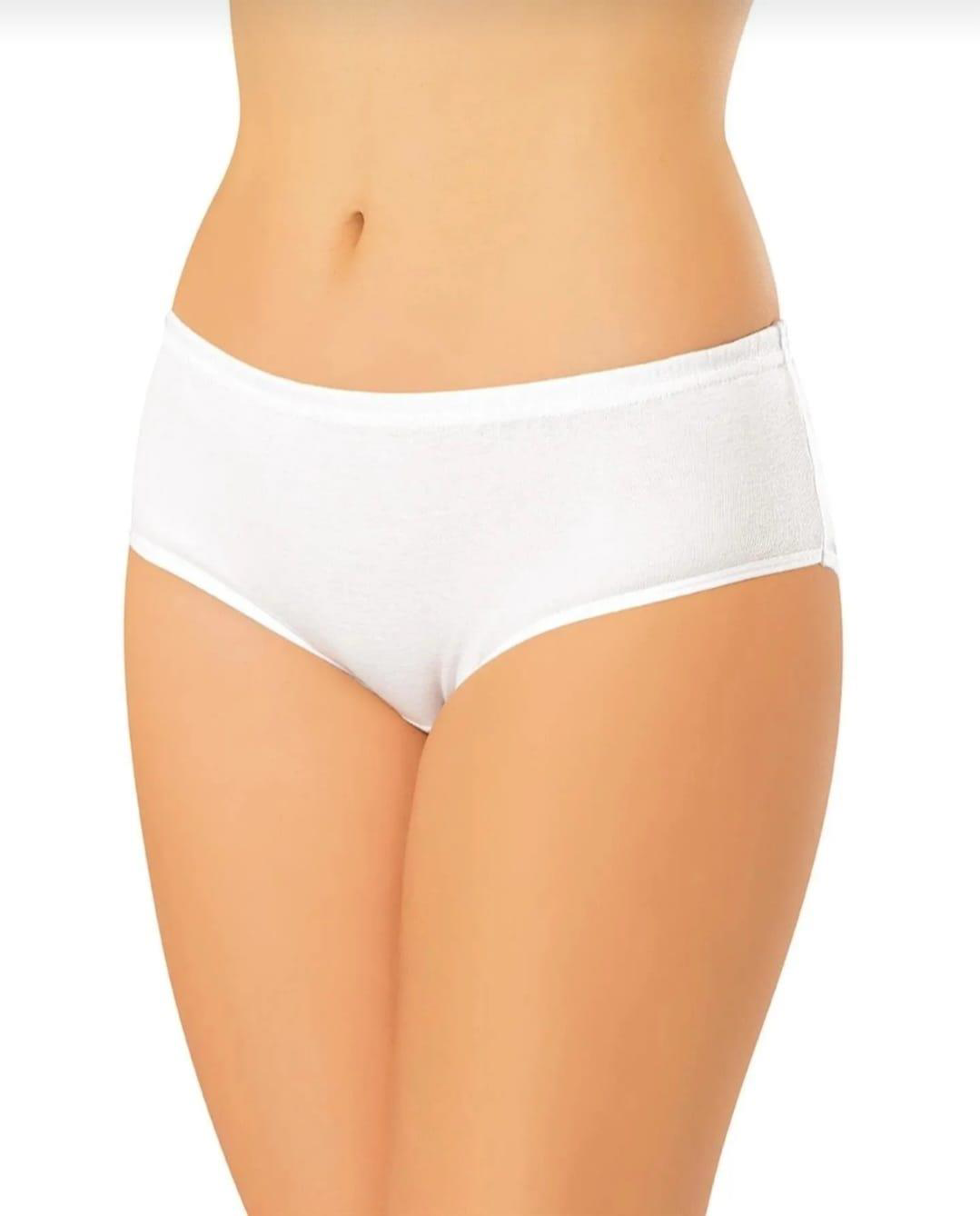 ERDEM 2500 KADIN RİBANA BATO KÜLOT 12 ADET