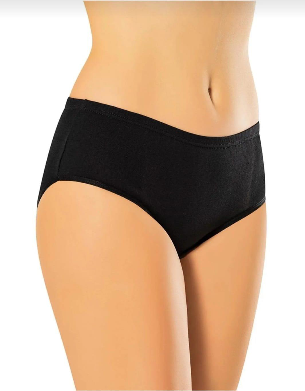 ERDEM 2500 KADIN RİBANA BATO KÜLOT 3 ADET