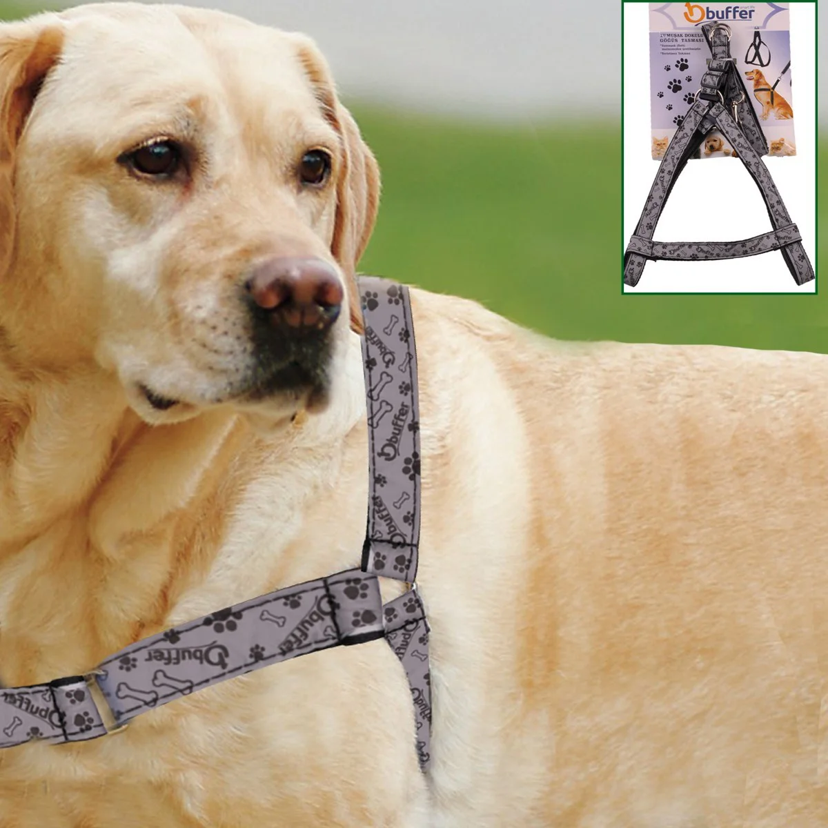 Ergonomik Yumuşak Dokulu Terletmez Köpek Göğüs Tasması Medium Ergonomik Yumuşak Dokulu Terletmez Köpek Göğüs Tasması Medium