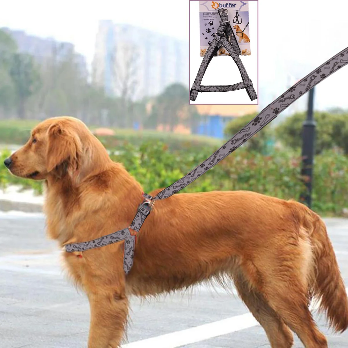 Ergonomik Yumuşak Dokulu Terletmez Köpek Göğüs Tasması Medium Ergonomik Yumuşak Dokulu Terletmez Köpek Göğüs Tasması Medium