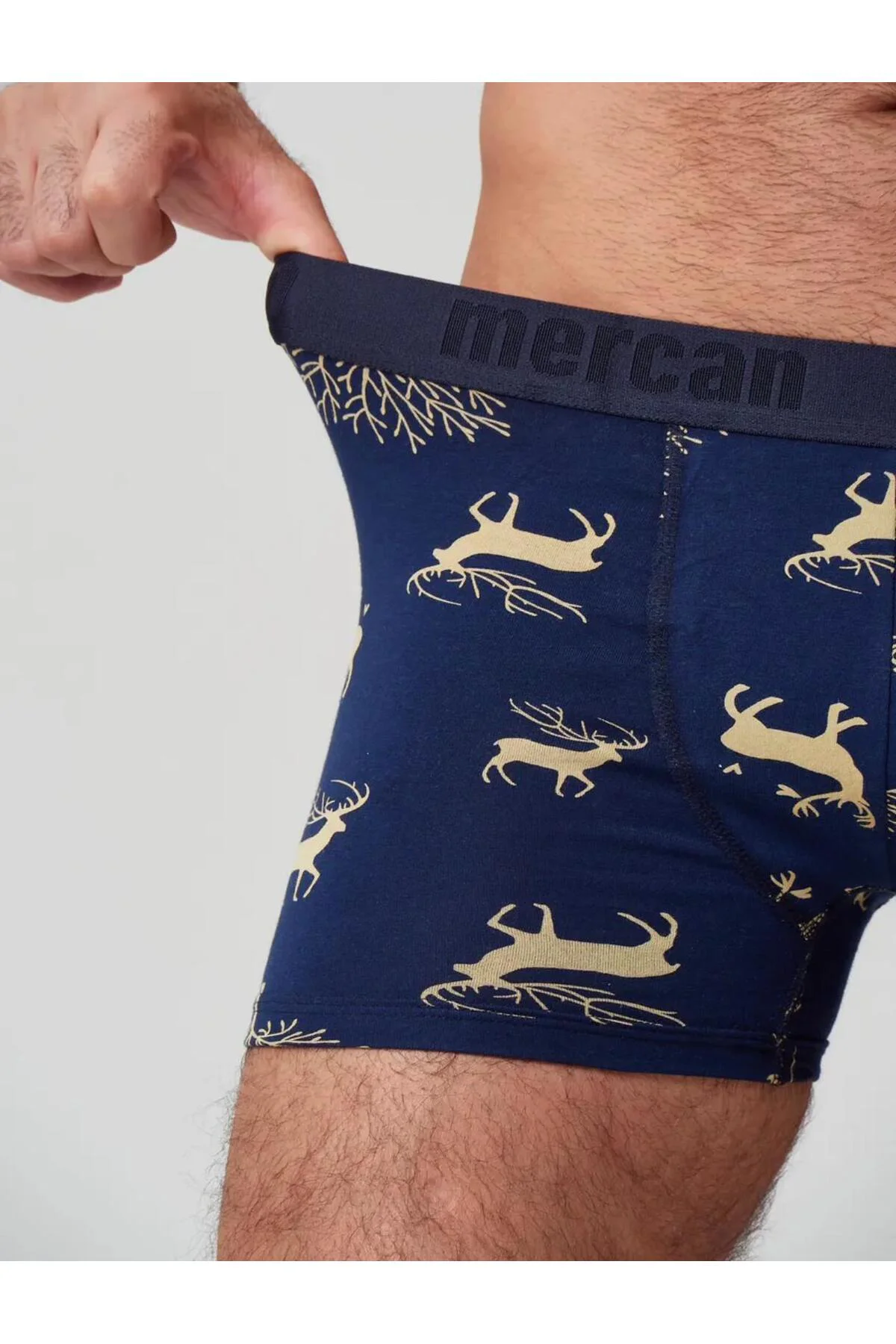 ERKEK BOXER ŞİŞE, ROTA, GEYİK DESENLİ 3'lü PAKET - RAHAT KESİM
