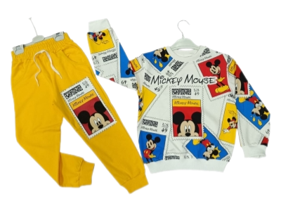 Erkek Çocuk Karekter Baskılı   2 İp 3/7 Yaş  Eşofman Takımı