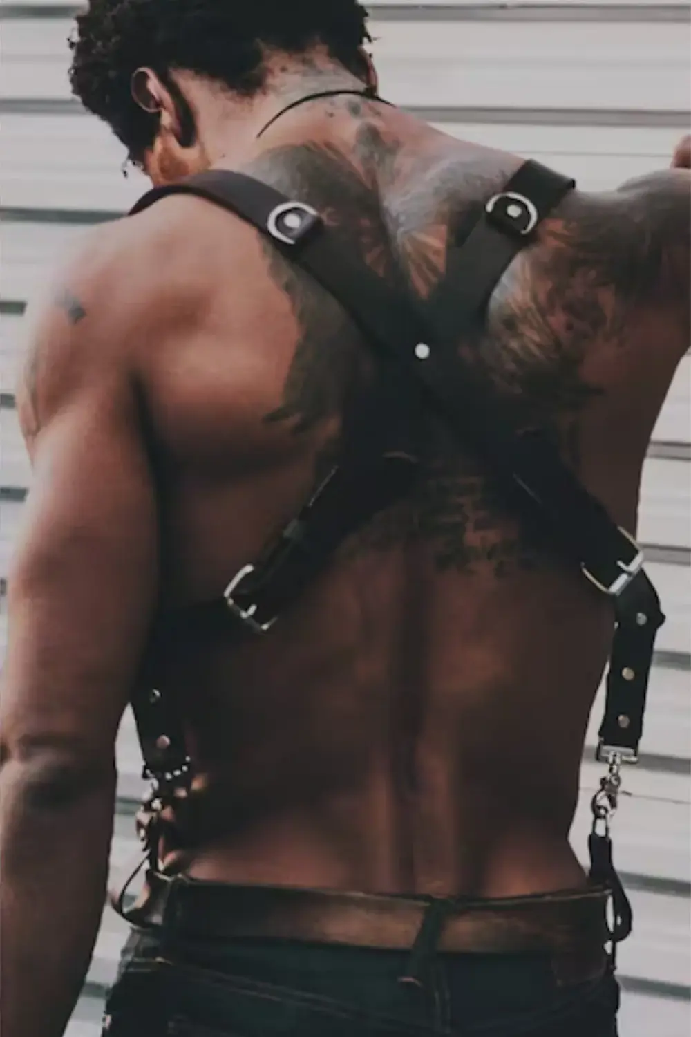 Pilelistore Erkek Harness