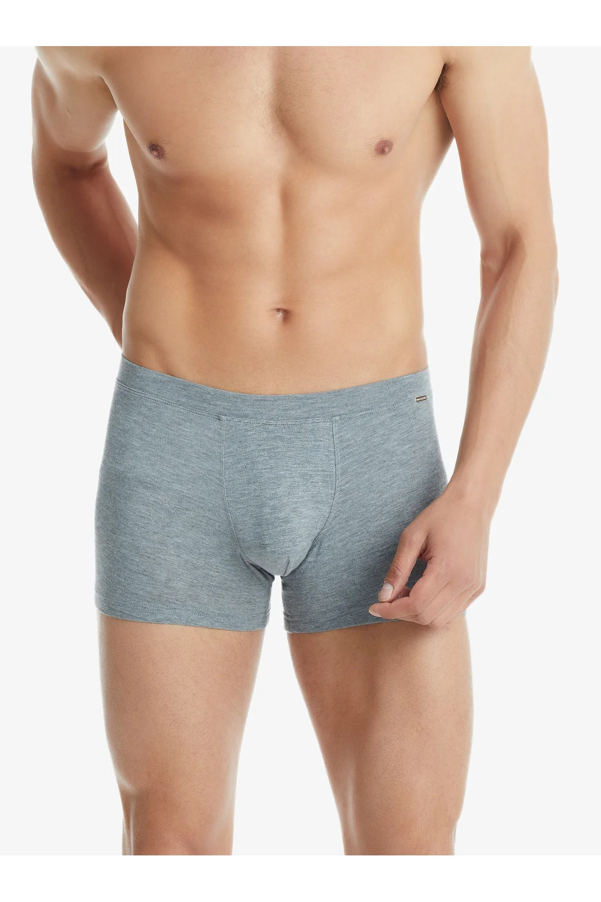 Erkek Modal Elastan Boxer Silver 9310 - Gri Melanj